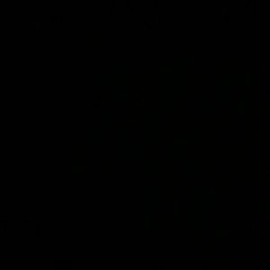 Meet your Posher, Shane